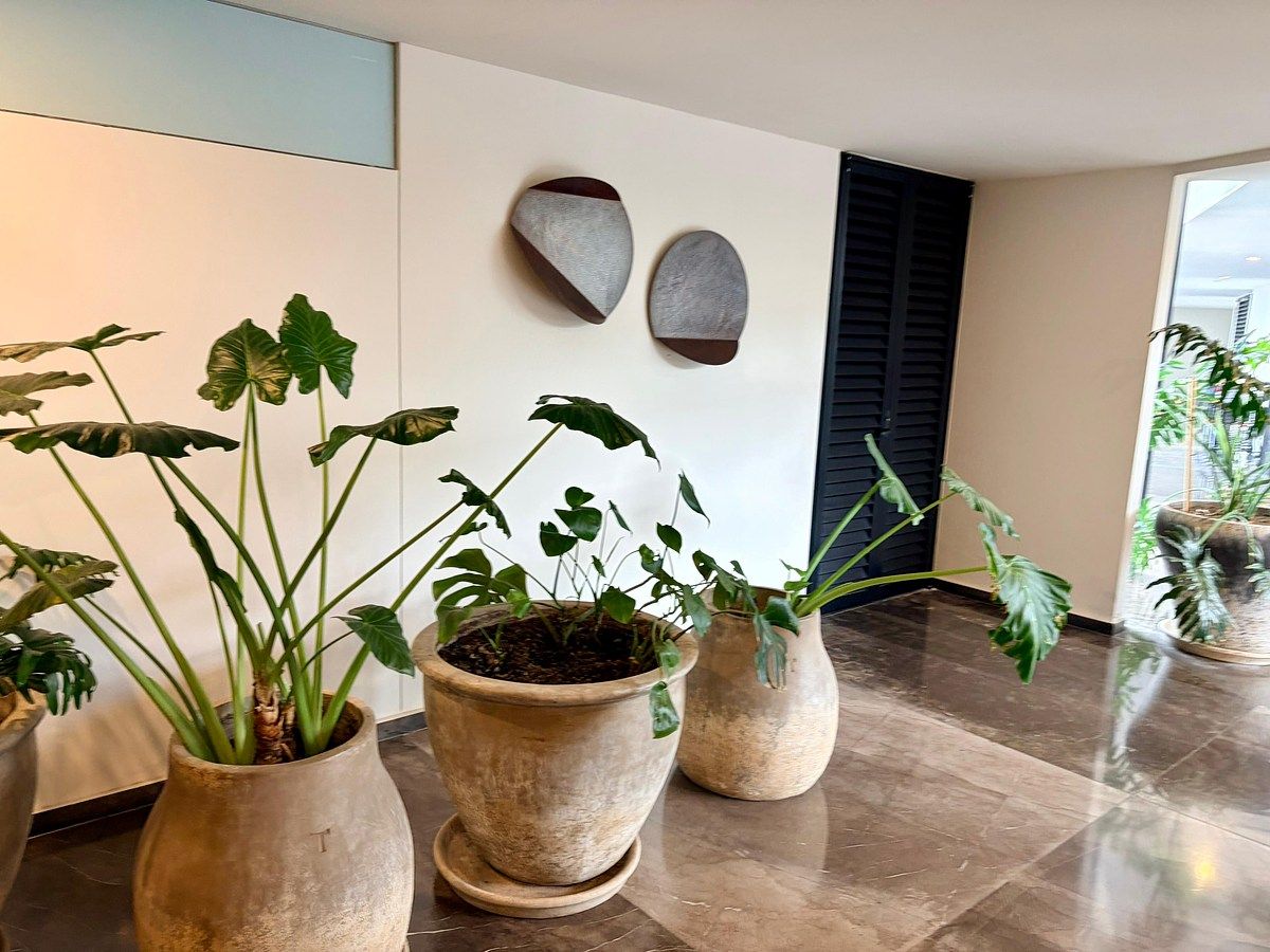 Apartment in Valle Real, Zapopan, photo 3 of 15