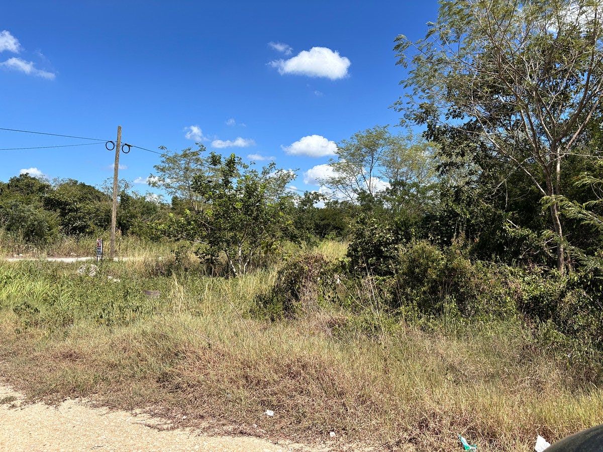 Terreno en Temozón Norte, Mérida, foto 2 de 5