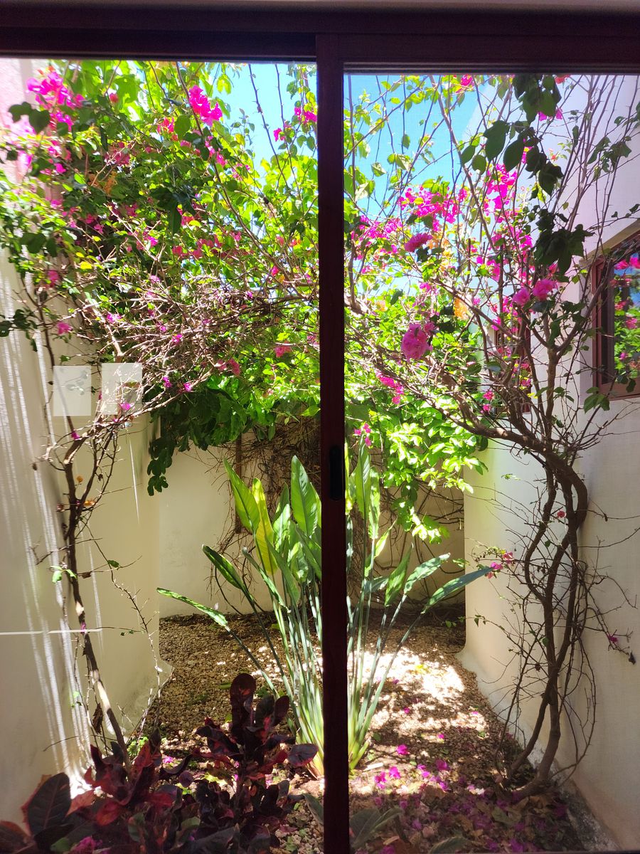 7 de 24: Ventana rec secundaria