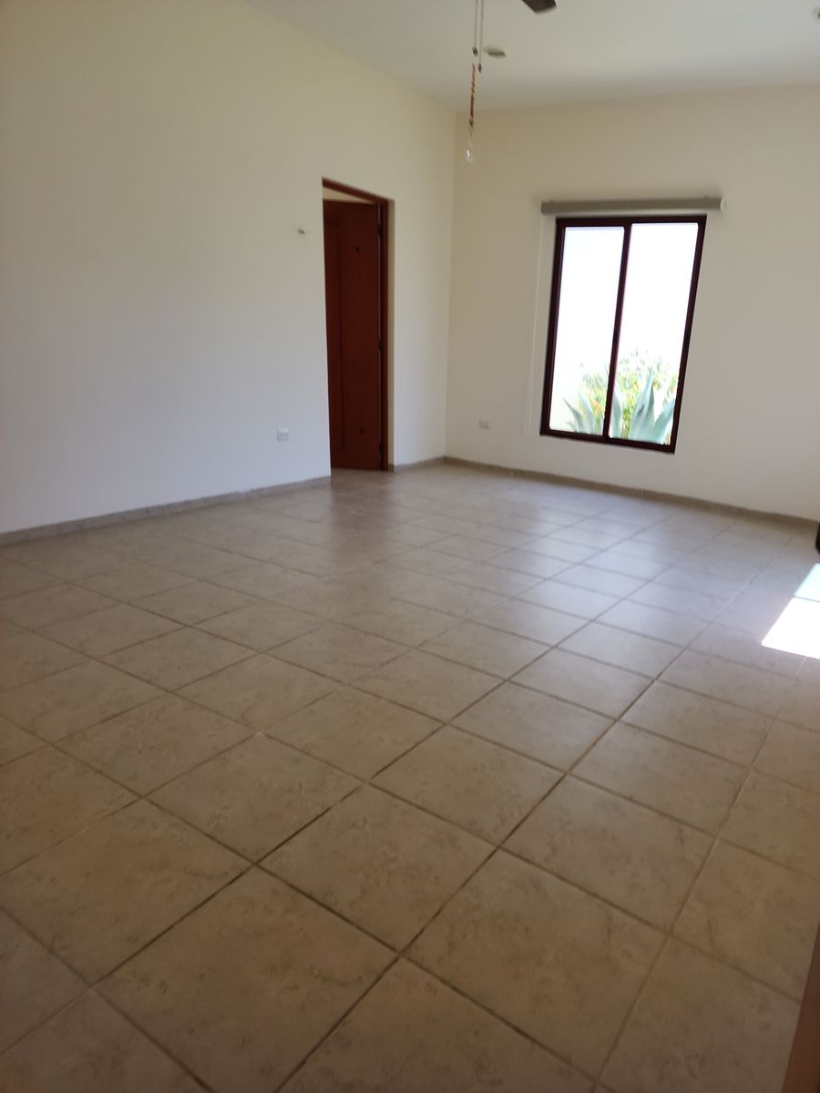 11 de 24: Rec principal