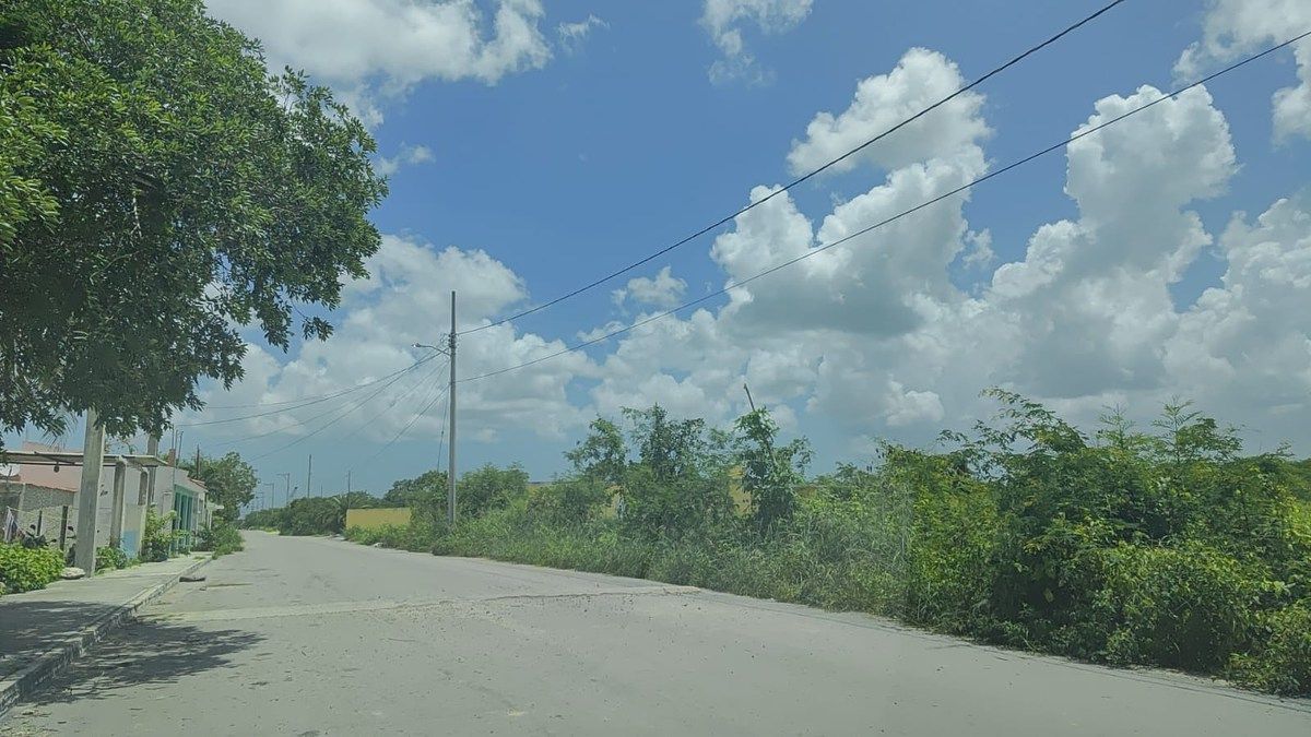 6 de 12