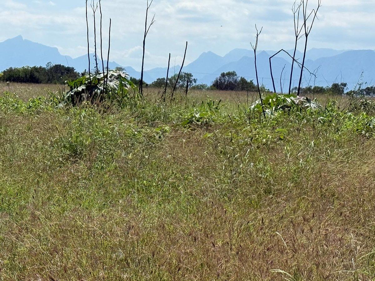 Rancho en El Fraile, Montemorelos, foto 5 de 6