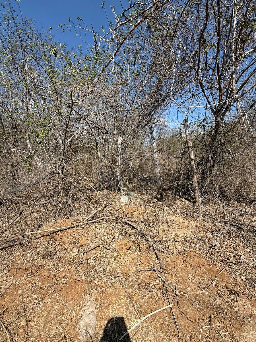Terreno en El Habal, Mazatlán, foto 3 de 10
