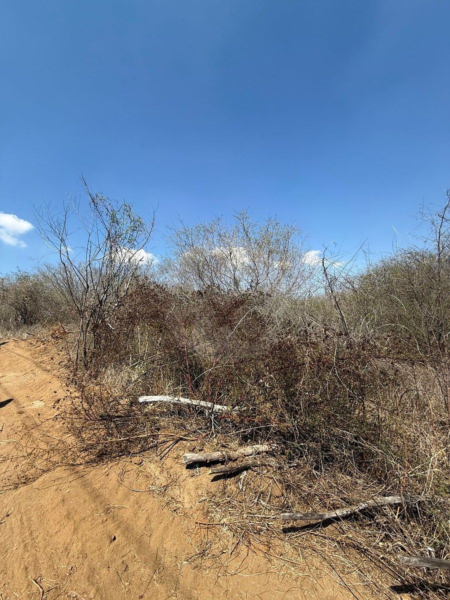 Terreno en El Habal, Mazatlán, foto 4 de 10