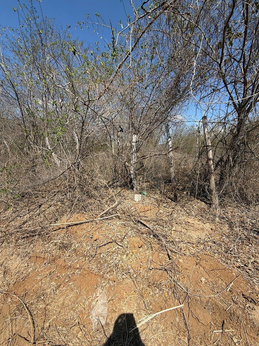 Terreno en El Habal, Mazatlán, foto 7 de 10