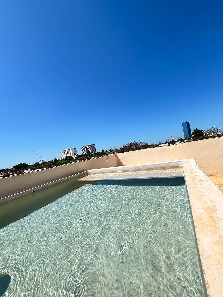 2 de 12: Alberca Roof