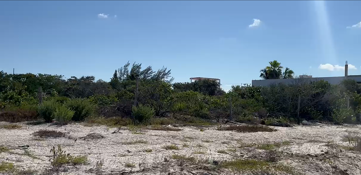 5 de 5: Vista desde playa