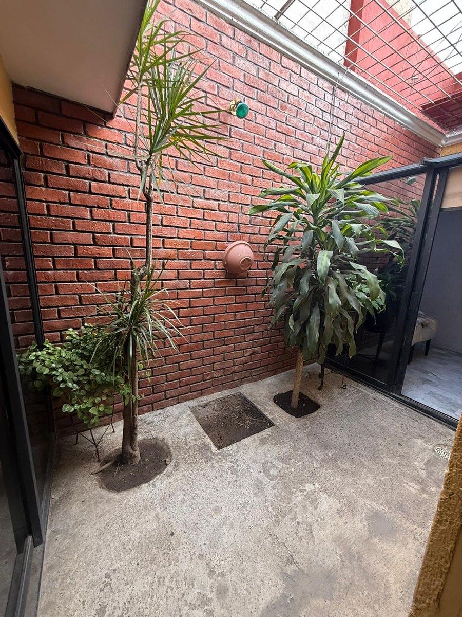 9 of 19: area de jardinera