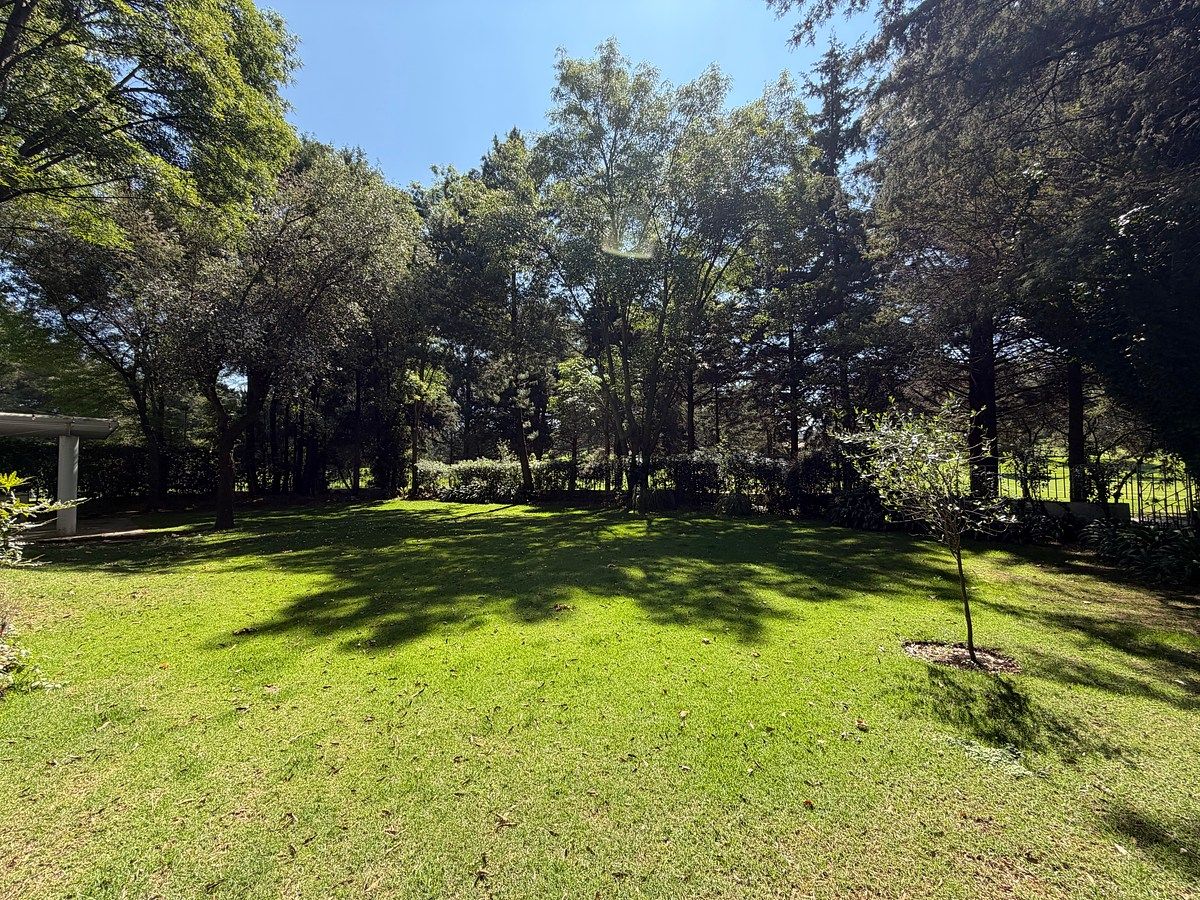 4 de 21: jardin posterior