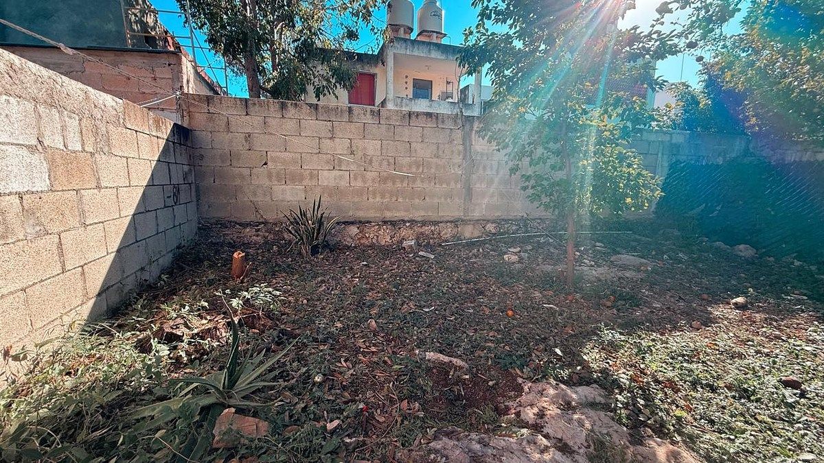 12 de 14: PATIO AMPLIO