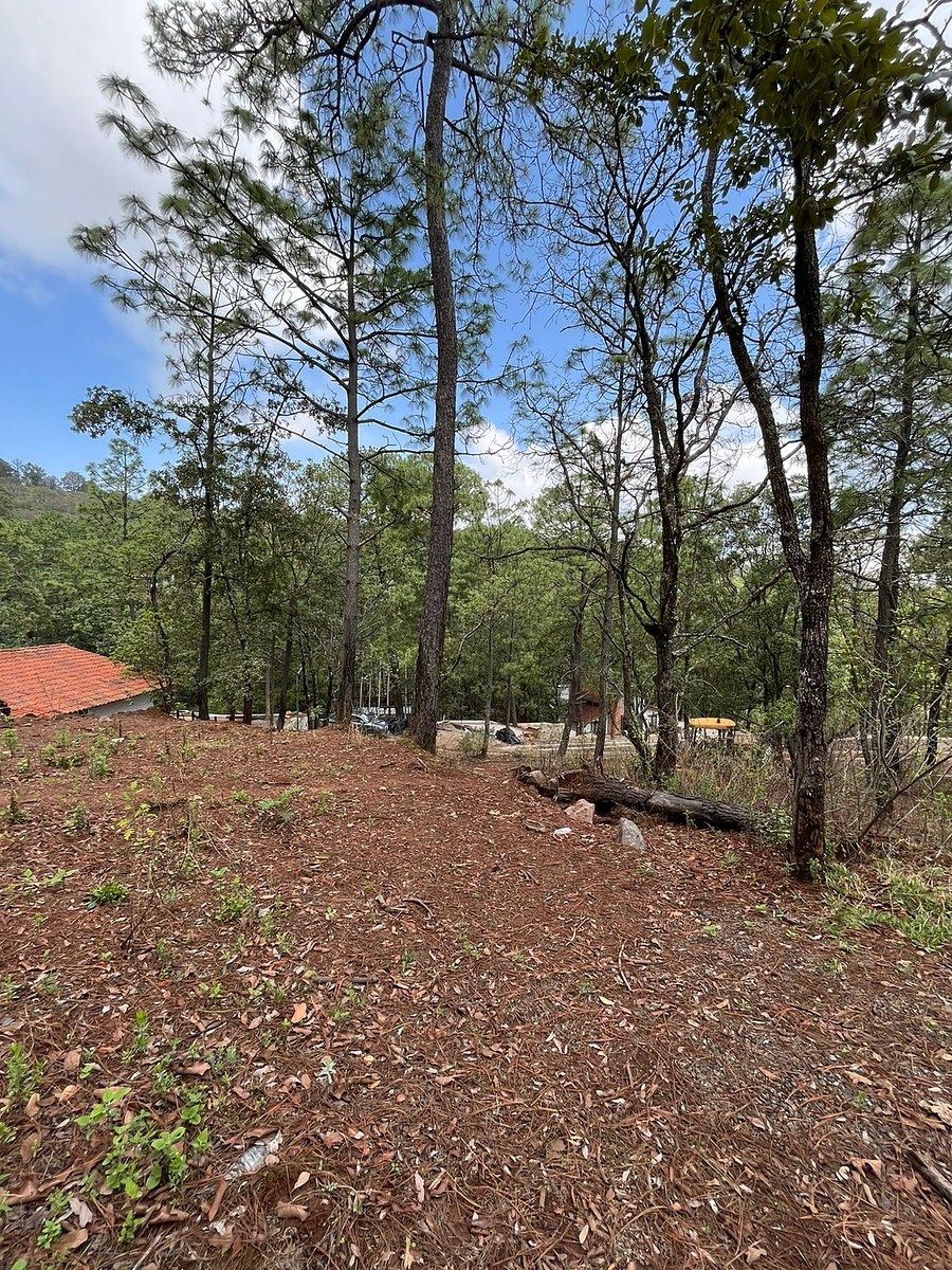 Lote em Mazamitla, Mazamitla, foto 12 de 12