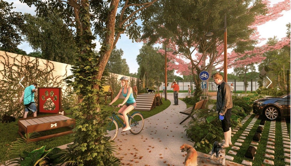 5 de 10: IMÁGENES PARA FINES ILUSTRATIVOS