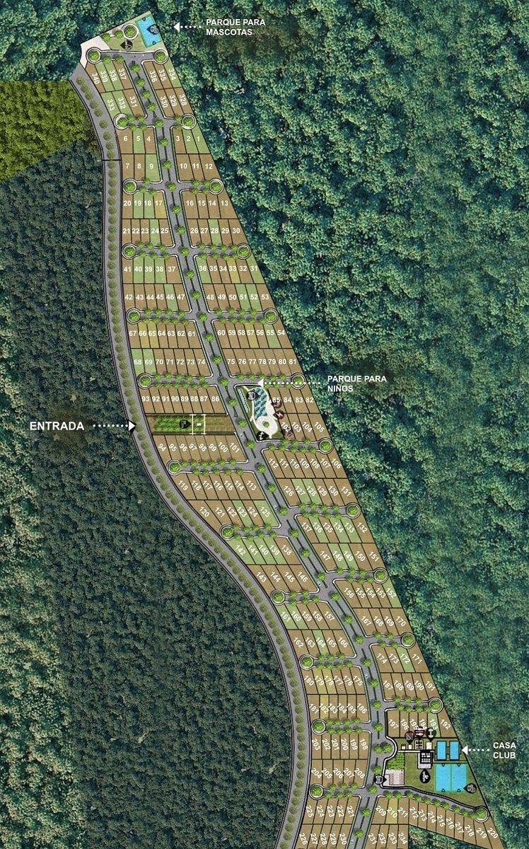 8 de 10: IMÁGENES PARA FINES ILUSTRATIVOS