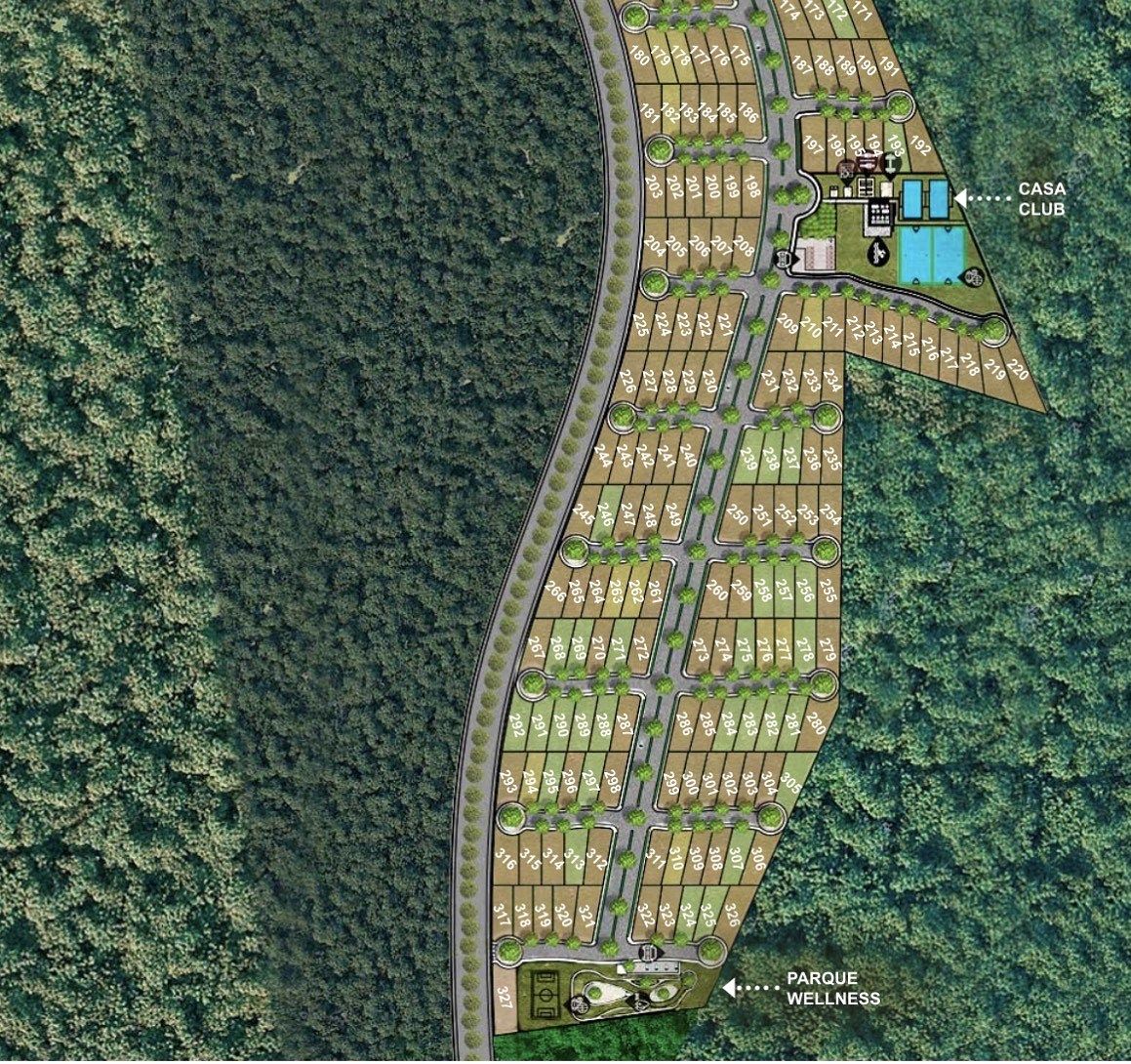 9 de 10: IMÁGENES PARA FINES ILUSTRATIVOS