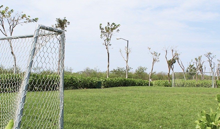 2 de 16: IMÁGENES PARA FINES ILUSTRATIVOS