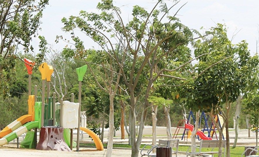 3 de 16: IMÁGENES PARA FINES ILUSTRATIVOS