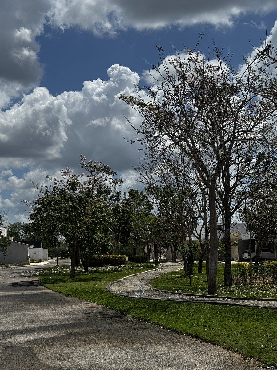 15 de 16: IMÁGENES PARA FINES ILUSTRATIVOS