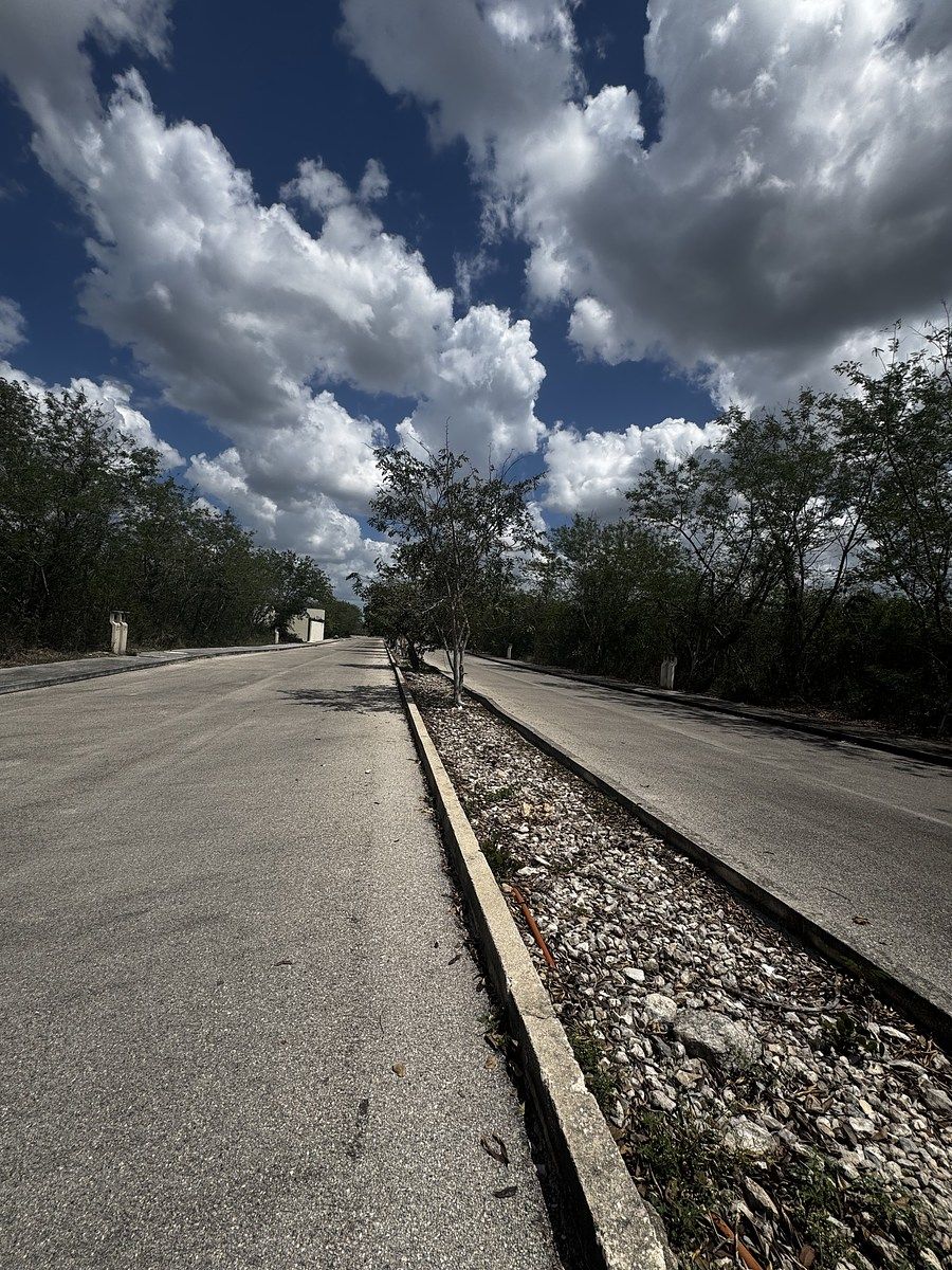 16 de 16: IMÁGENES PARA FINES ILUSTRATIVOS