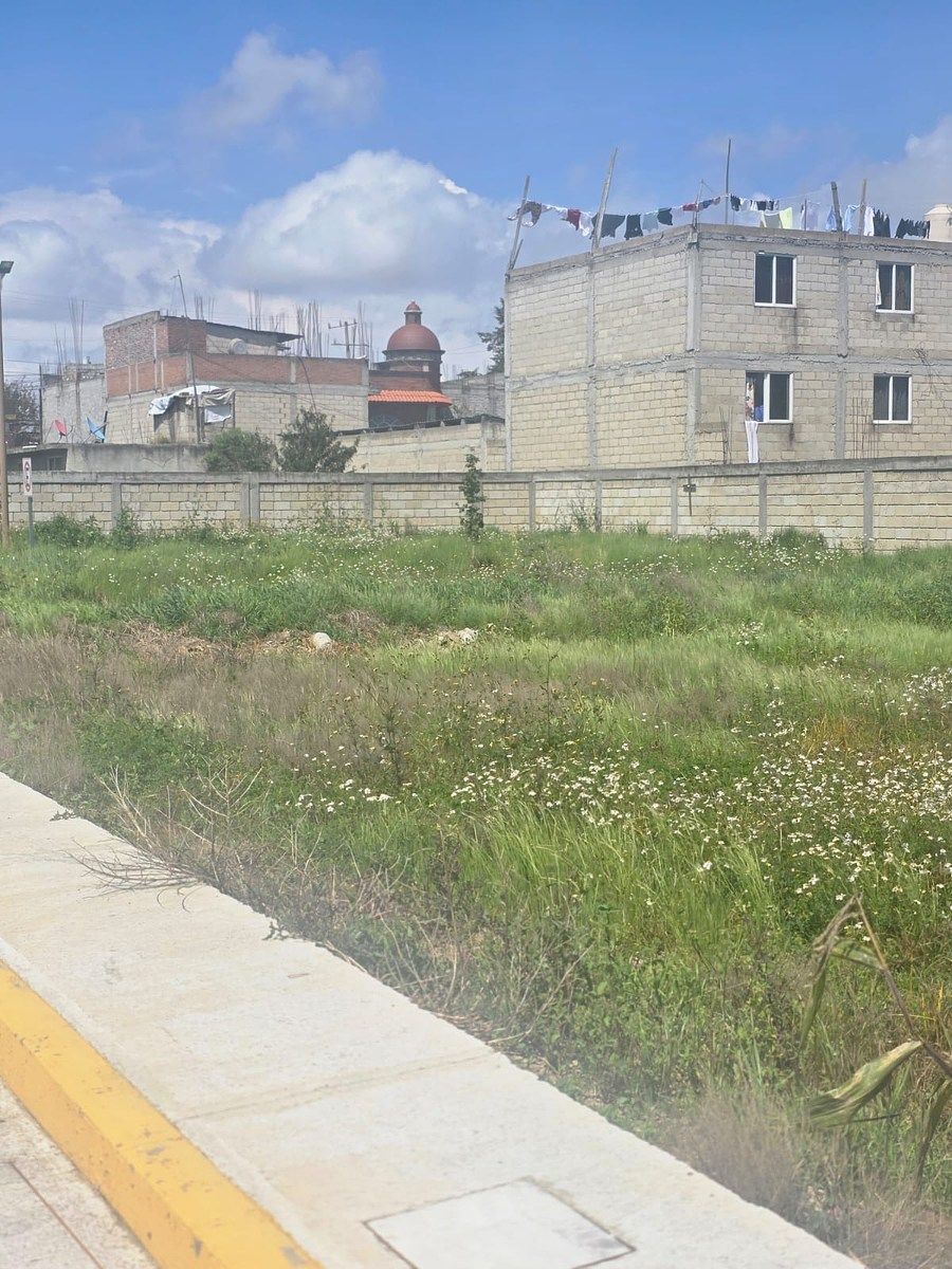 5 de 6: TOTALMENTE BARDEADO