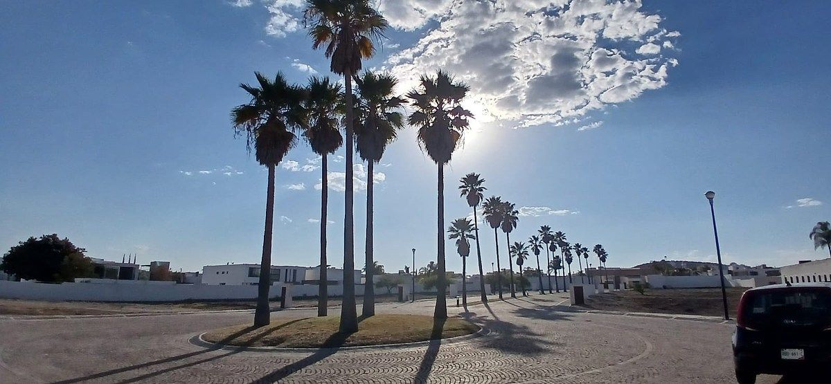 6 de 8: Avenida interior, terrenos a ambos lados