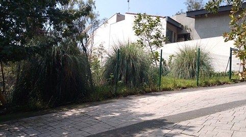 TERRENO EN LOMAS DE BEZARES - ZONA RESIDENCIAL, foto 1 de 10