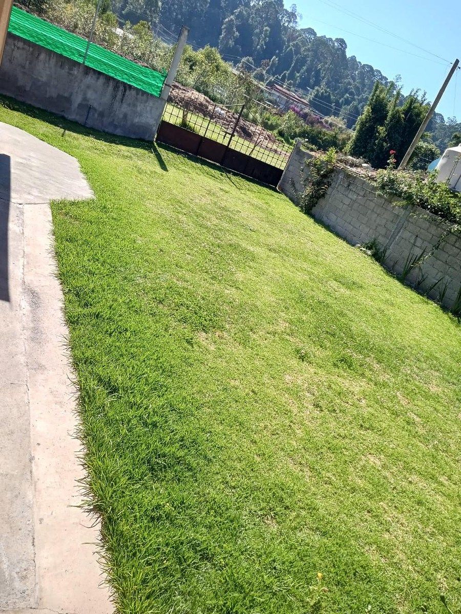 11 of 11: porton y barda