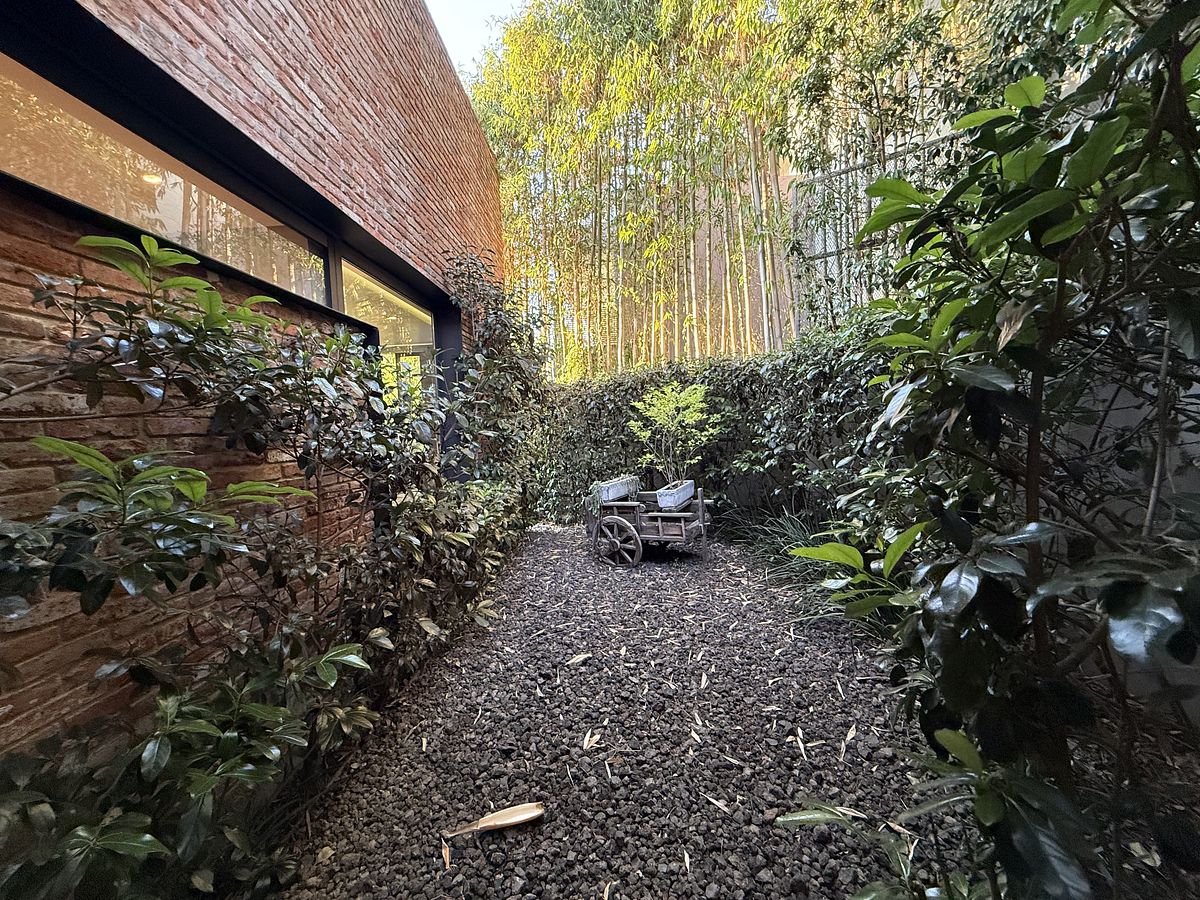 36 de 36: Jardín interior