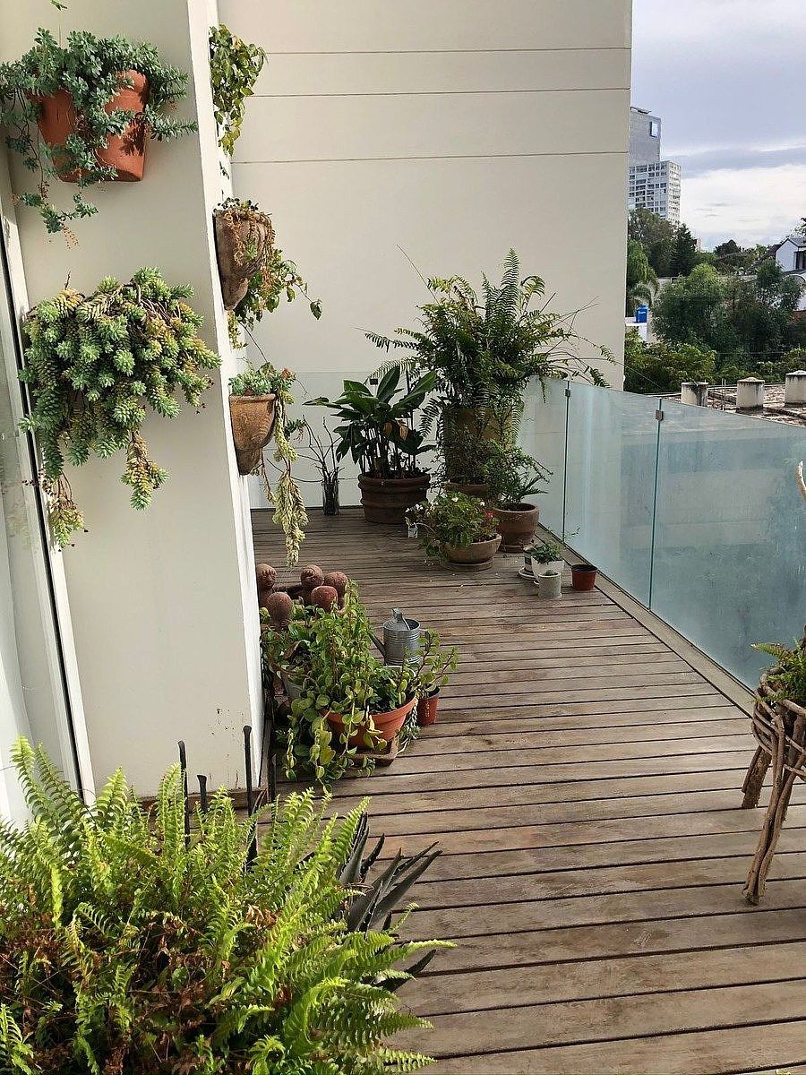 8 de 28: TERRAZA COCINA, SALA TV , REC PRINC