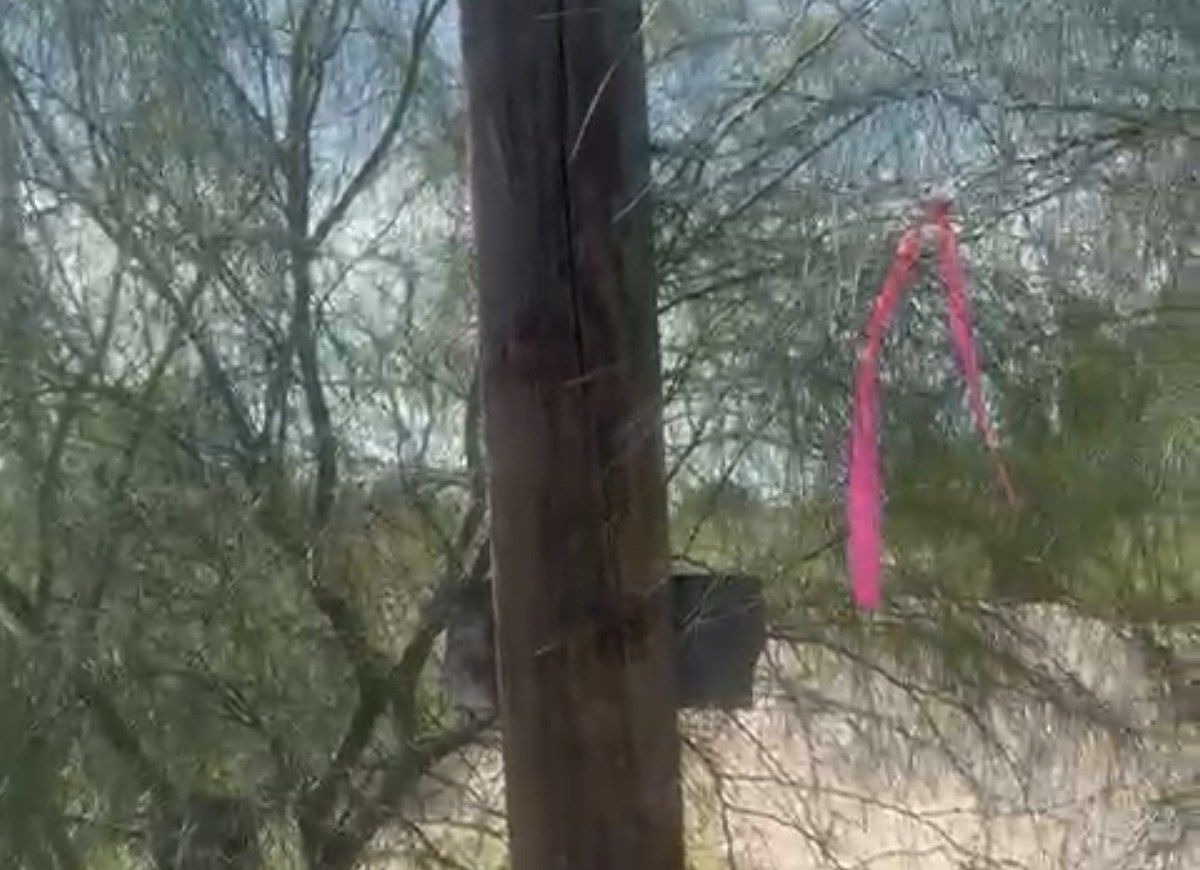 16 de 23: mojonera abajo