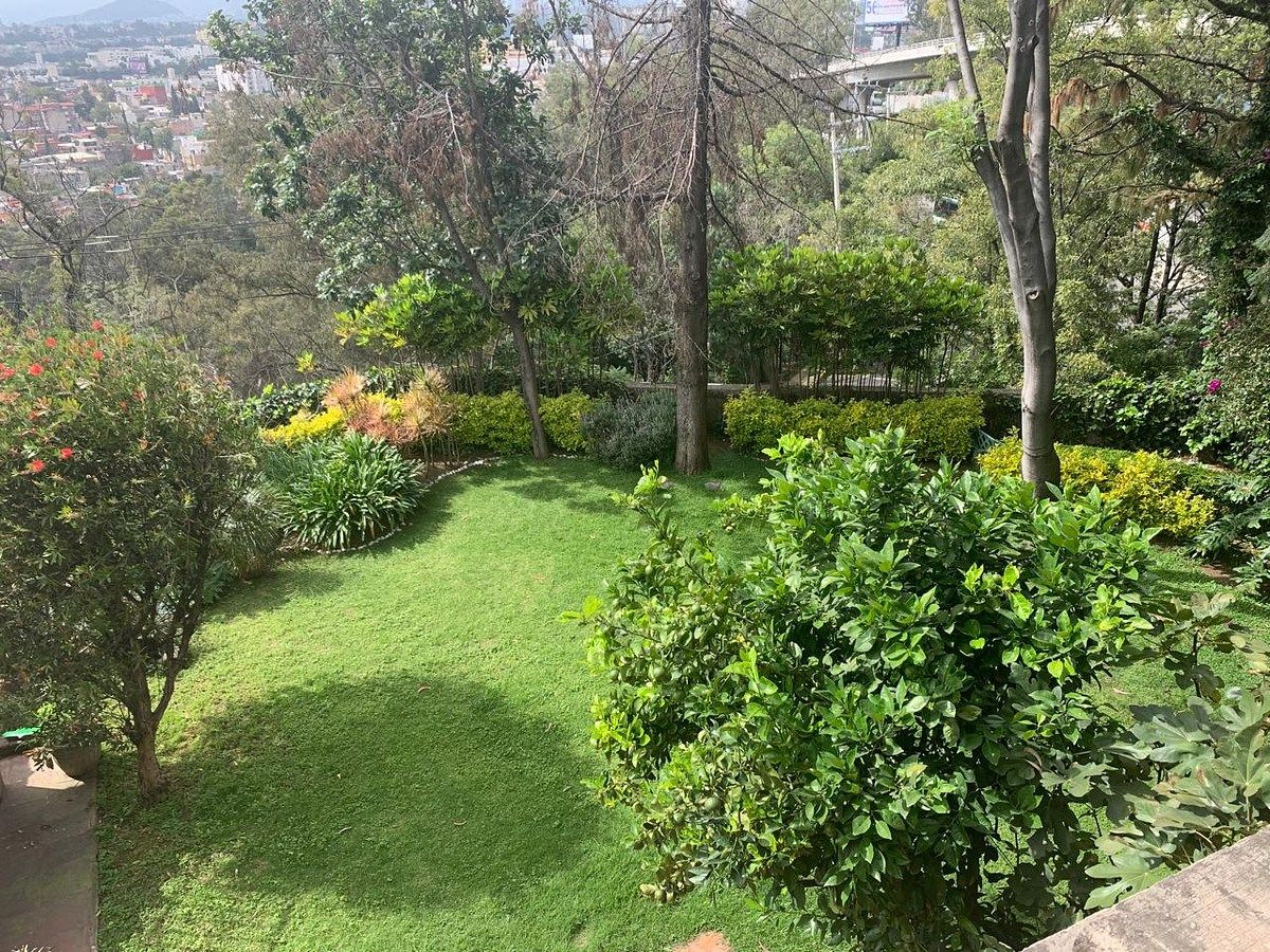 10 de 22: Jardin visto desde la terraza
