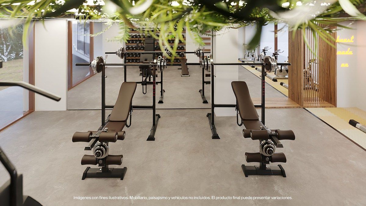 3 de 14: Imagen Ilustrativa