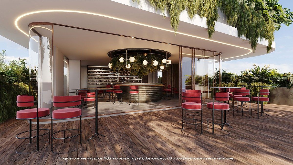 10 de 14: Imagen Ilustrativa