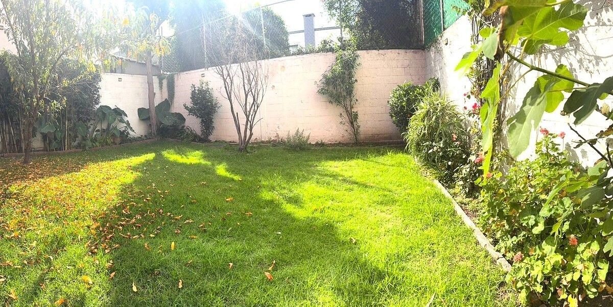 26 de 29