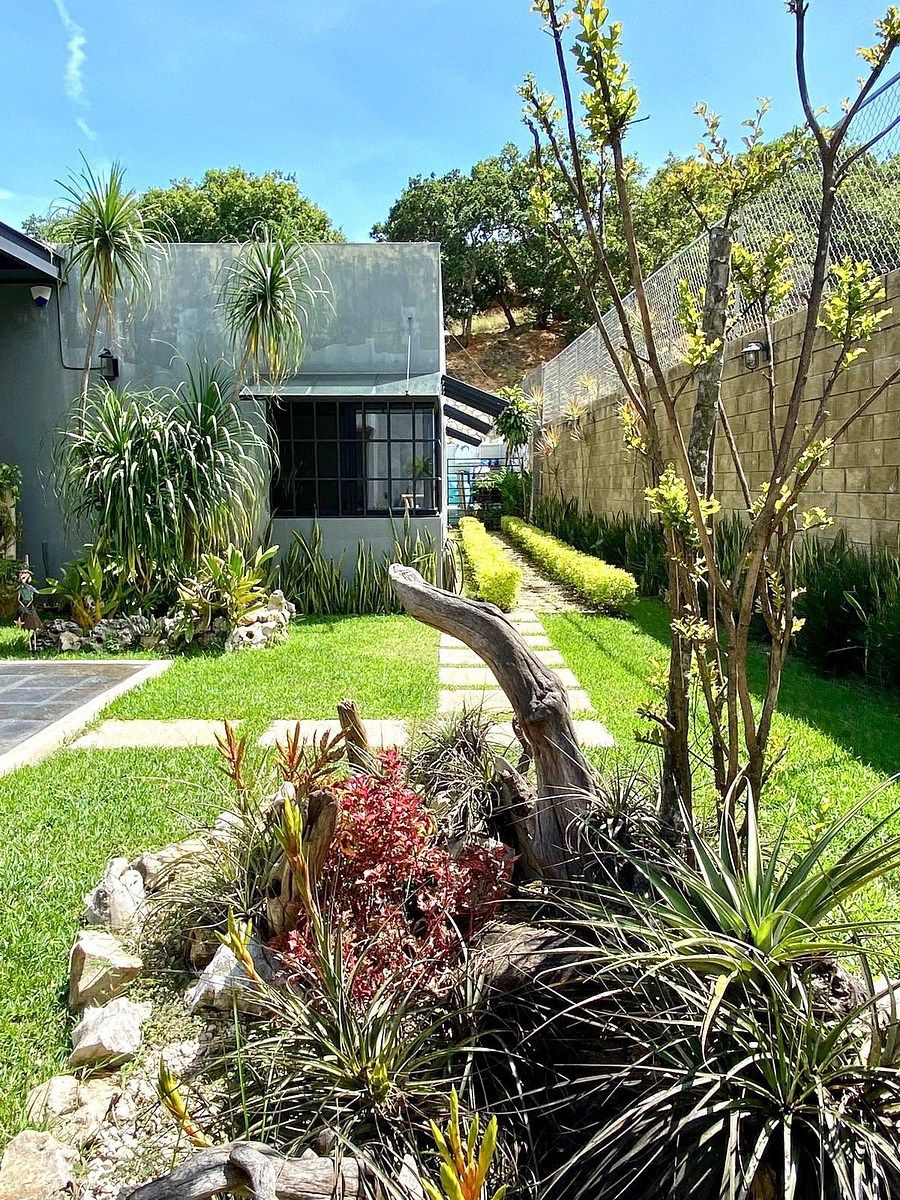 10 de 24: Jardín interior