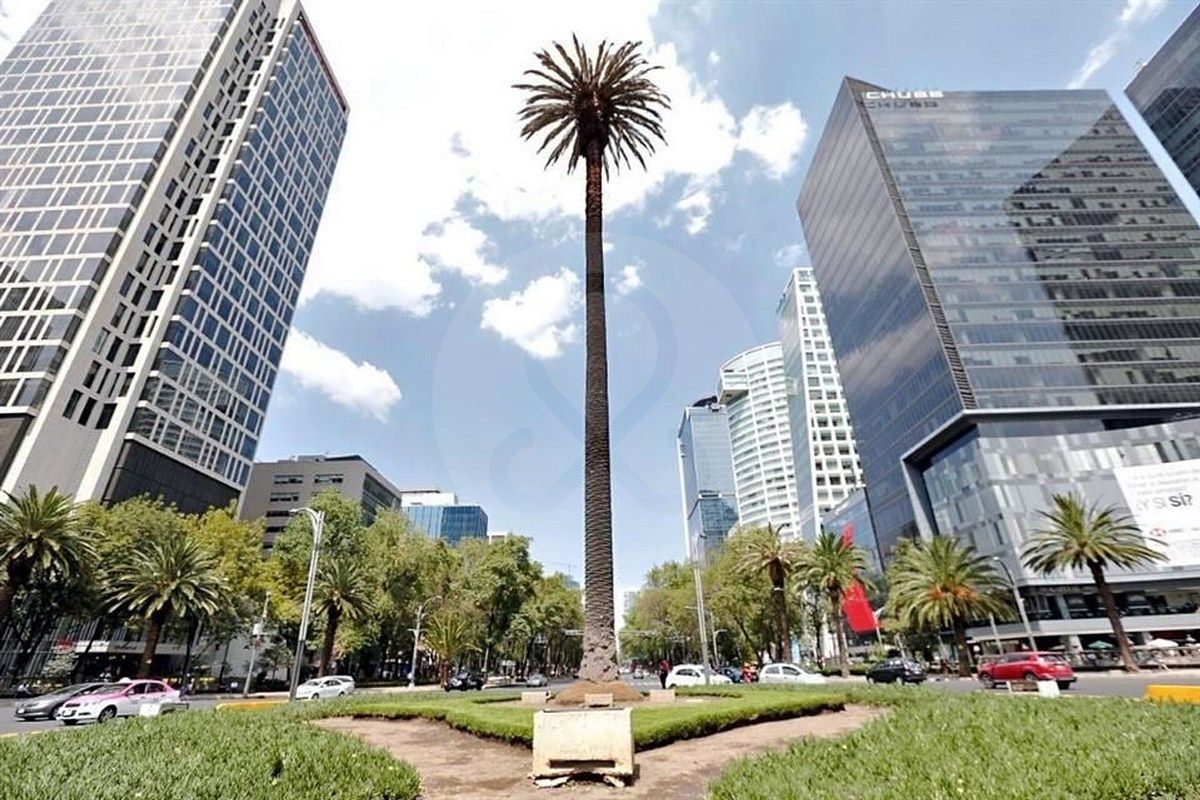 10 de 13