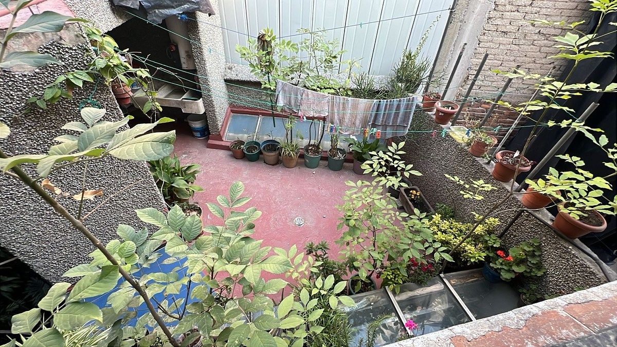 15 de 17: Area de Servicio