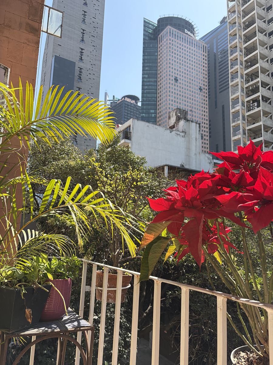 4 de 25: Vista balcón