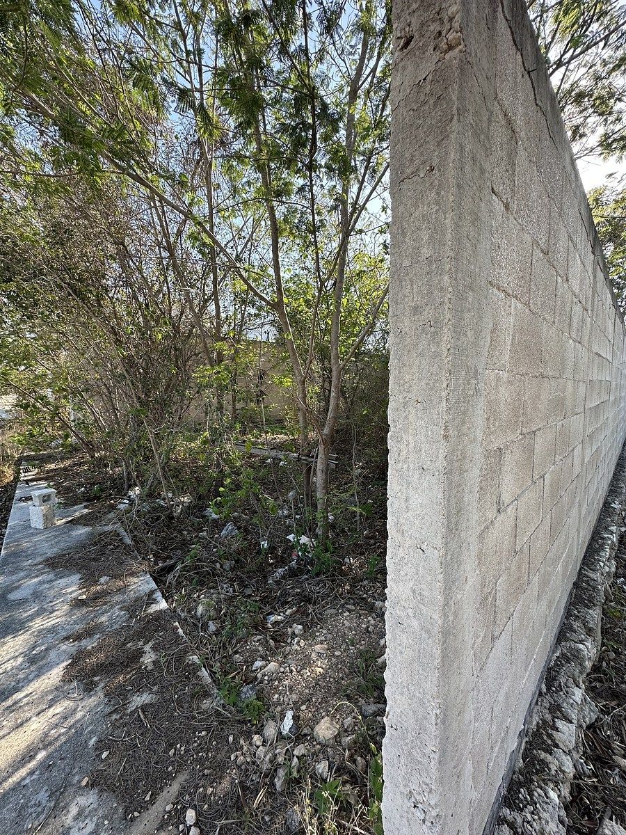 6 de 9: Barda de 11 blocks