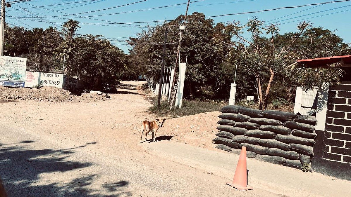 15 of 17: Entrada hacia el camino que lleva al terreno