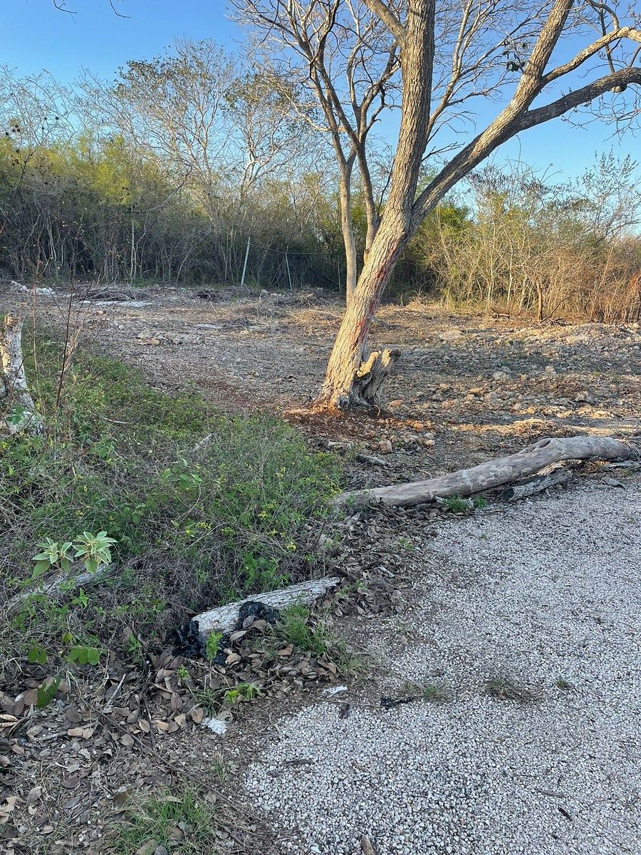 Lote em Pedregales del Mayab, Conkal, foto 8 de 23