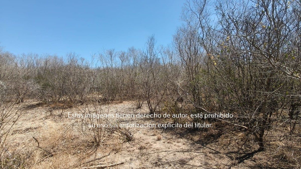3 of 7: Terreno en Venta en Ejido Ollama, Hidalgo, Tamaulipas