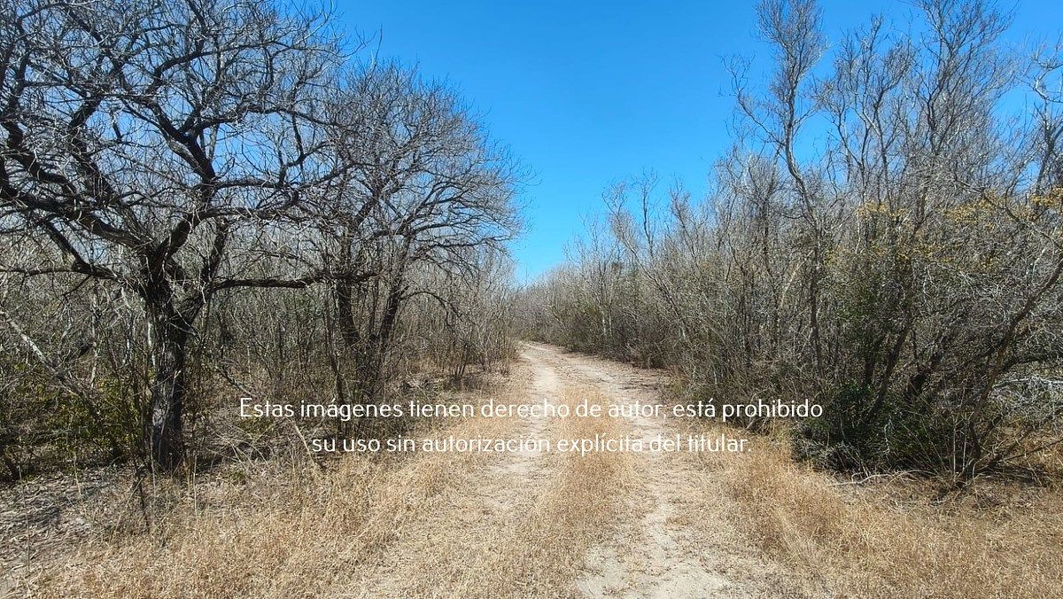 4 of 7: Terreno en Venta en Ejido Ollama, Hidalgo, Tamaulipas