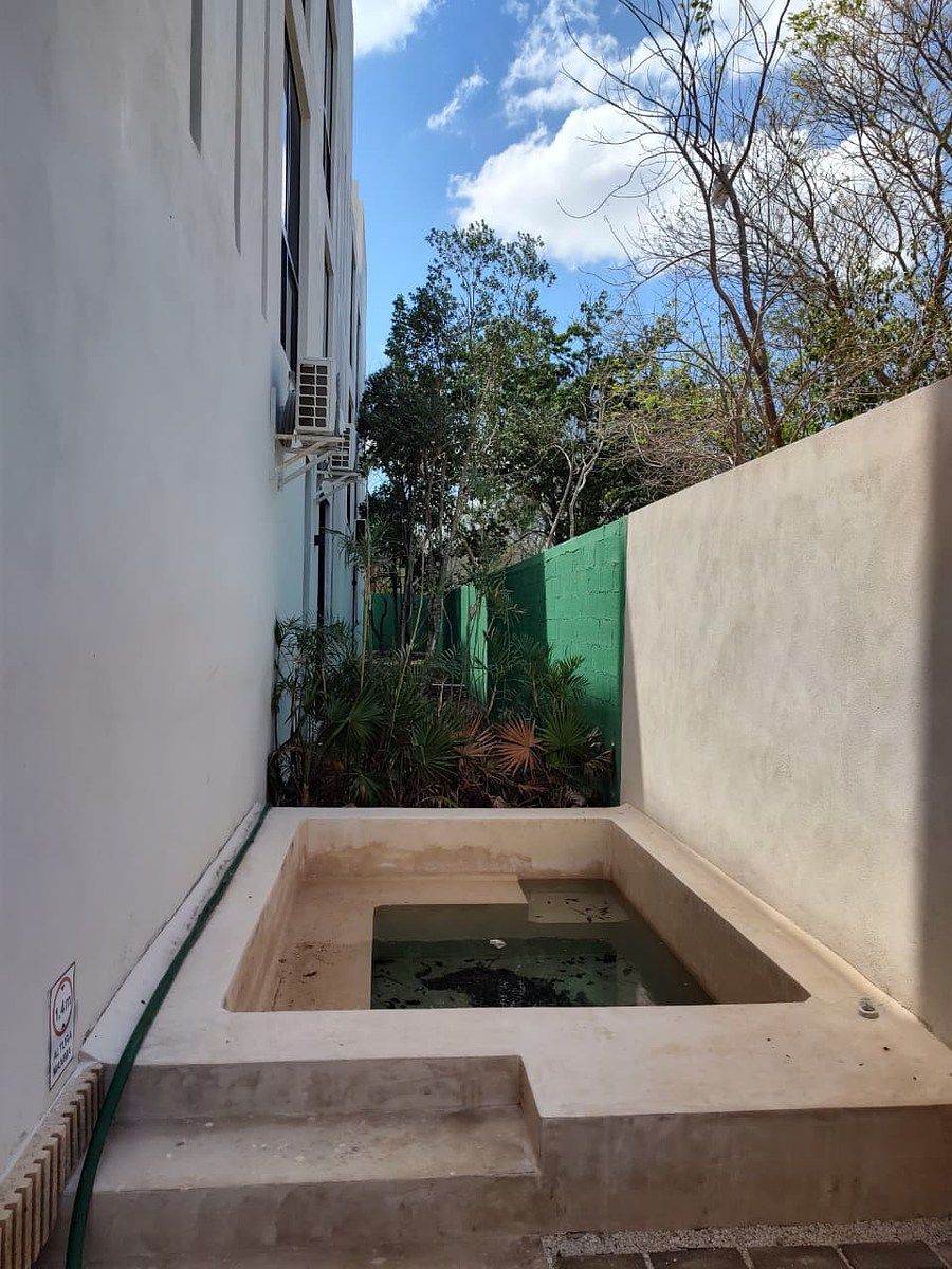 7 of 23: Alberca (área común)