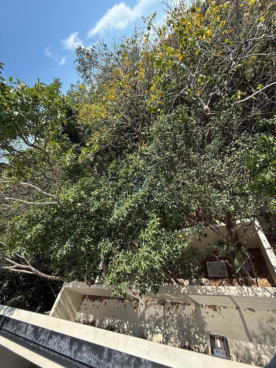 Casa en condominio en Carretera Tulum - Cancún, Tulum, foto 46 de 50