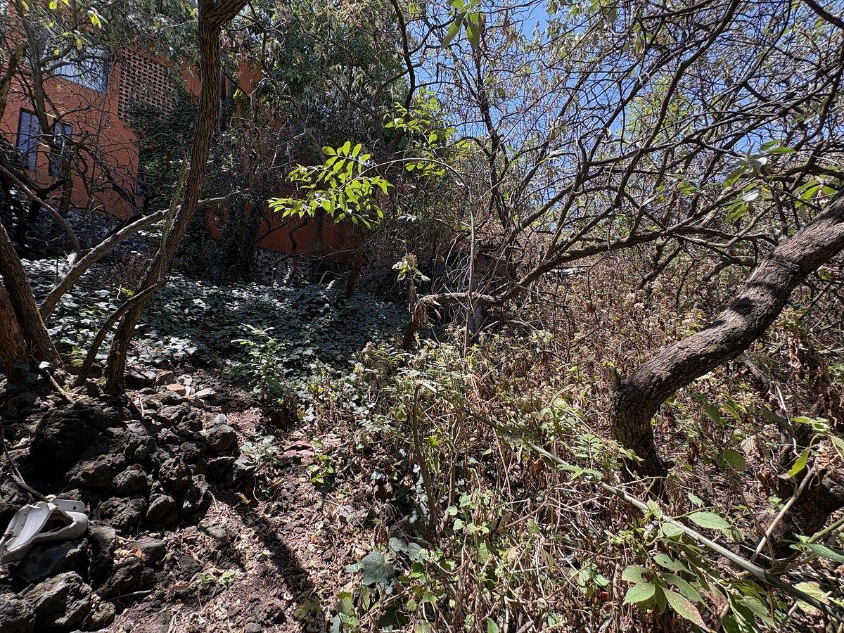 2 de 8: Terreno en Venta en Héroes de Padierna Rayo Vende ®