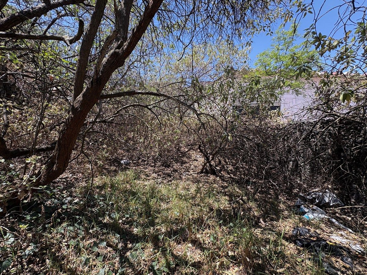 3 de 8: Terreno en Venta en Héroes de Padierna Rayo Vende ®