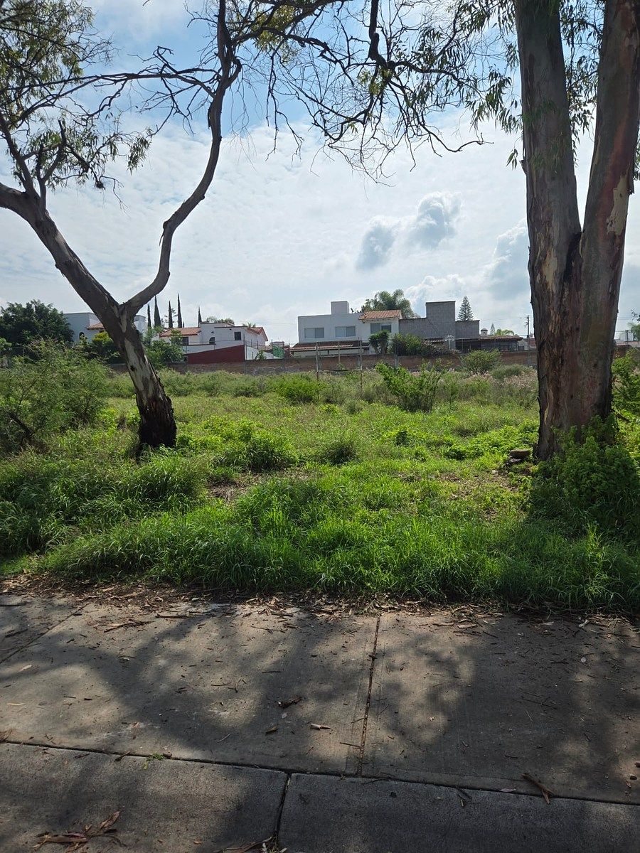 Lot in Juriquilla, Querétaro, photo 20 of 24