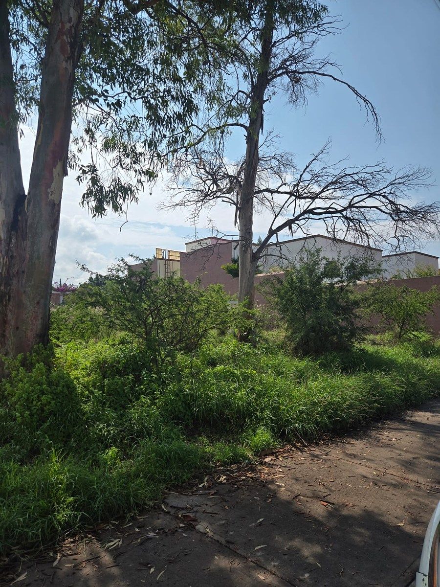 Lot in Juriquilla, Querétaro, photo 22 of 24