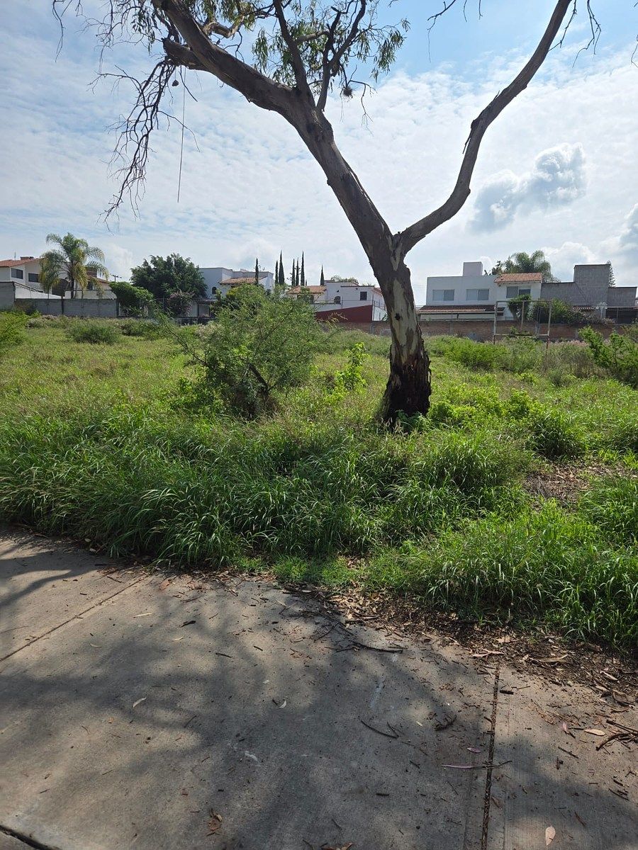 Lot in Juriquilla, Querétaro, photo 23 of 24