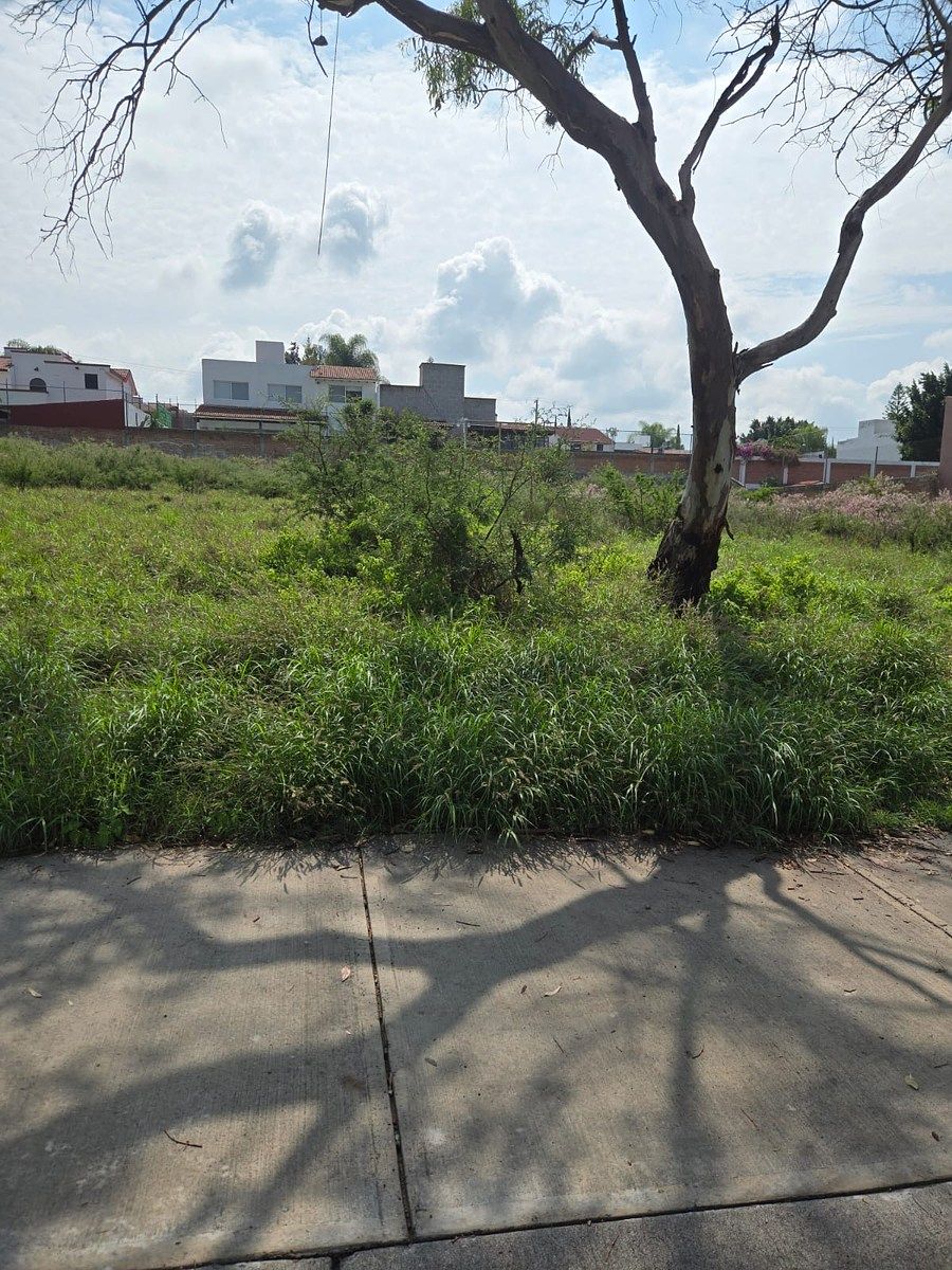 Lot in Juriquilla, Querétaro, photo 21 of 24
